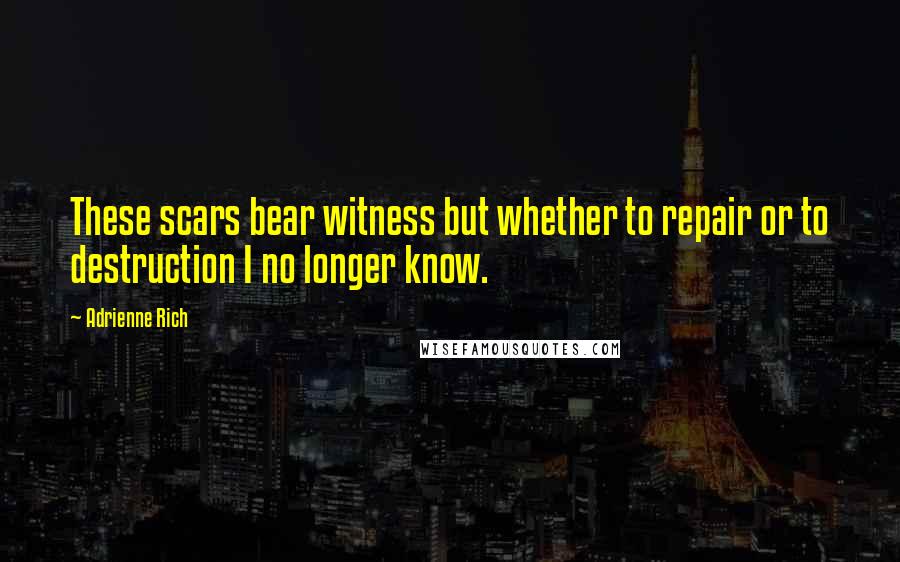 Adrienne Rich Quotes: These scars bear witness but whether to repair or to destruction I no longer know.