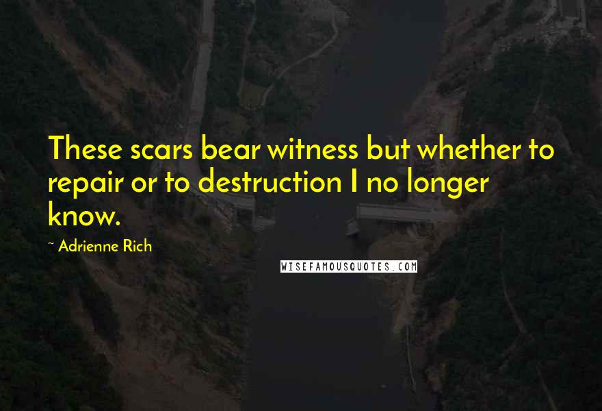 Adrienne Rich Quotes: These scars bear witness but whether to repair or to destruction I no longer know.