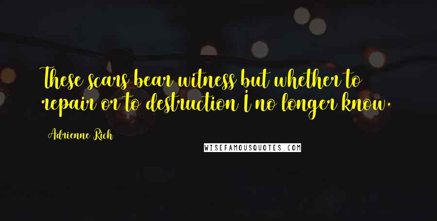 Adrienne Rich Quotes: These scars bear witness but whether to repair or to destruction I no longer know.