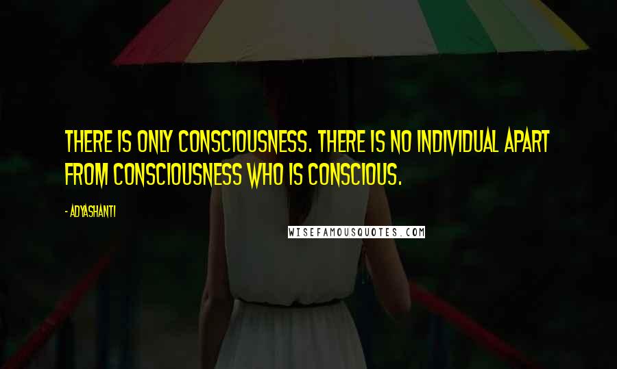 Adyashanti Quotes: There is only consciousness. There is no individual apart from consciousness who is conscious.