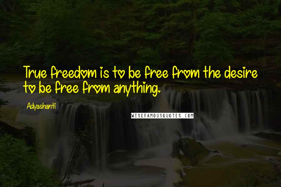 Adyashanti Quotes: True freedom is to be free from the desire to be free from anything.