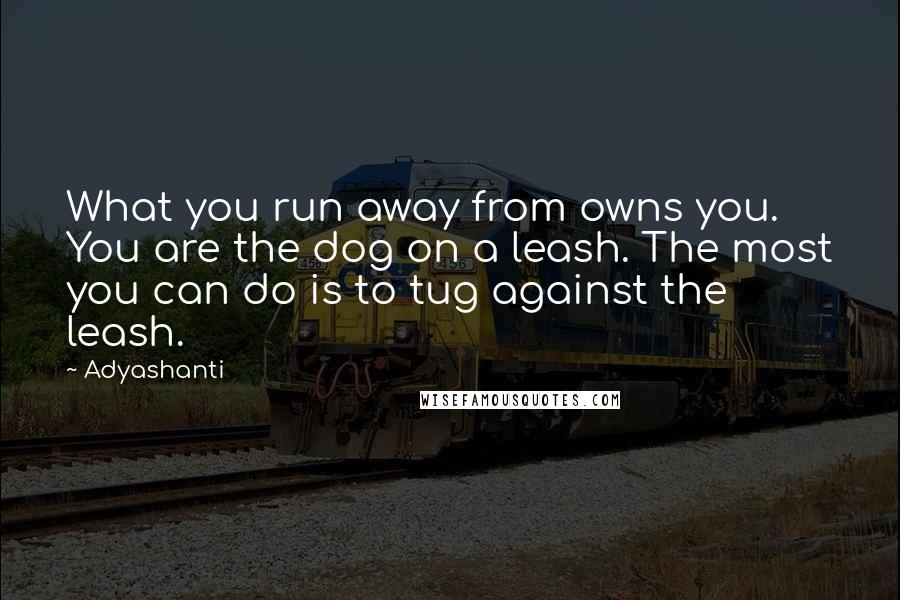 Adyashanti Quotes: What you run away from owns you. You are the dog on a leash. The most you can do is to tug against the leash.