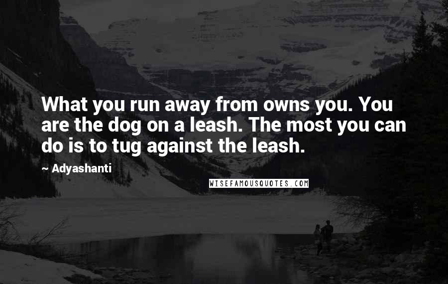 Adyashanti Quotes: What you run away from owns you. You are the dog on a leash. The most you can do is to tug against the leash.
