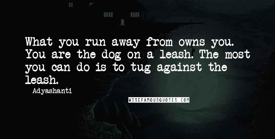 Adyashanti Quotes: What you run away from owns you. You are the dog on a leash. The most you can do is to tug against the leash.