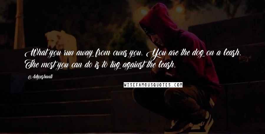 Adyashanti Quotes: What you run away from owns you. You are the dog on a leash. The most you can do is to tug against the leash.