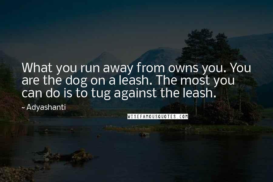 Adyashanti Quotes: What you run away from owns you. You are the dog on a leash. The most you can do is to tug against the leash.