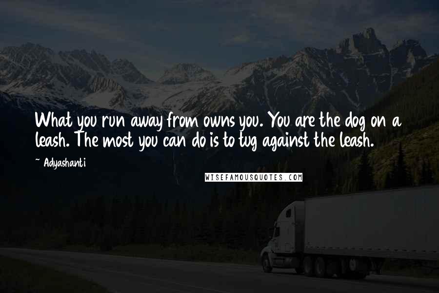 Adyashanti Quotes: What you run away from owns you. You are the dog on a leash. The most you can do is to tug against the leash.