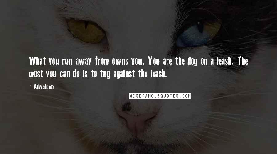 Adyashanti Quotes: What you run away from owns you. You are the dog on a leash. The most you can do is to tug against the leash.