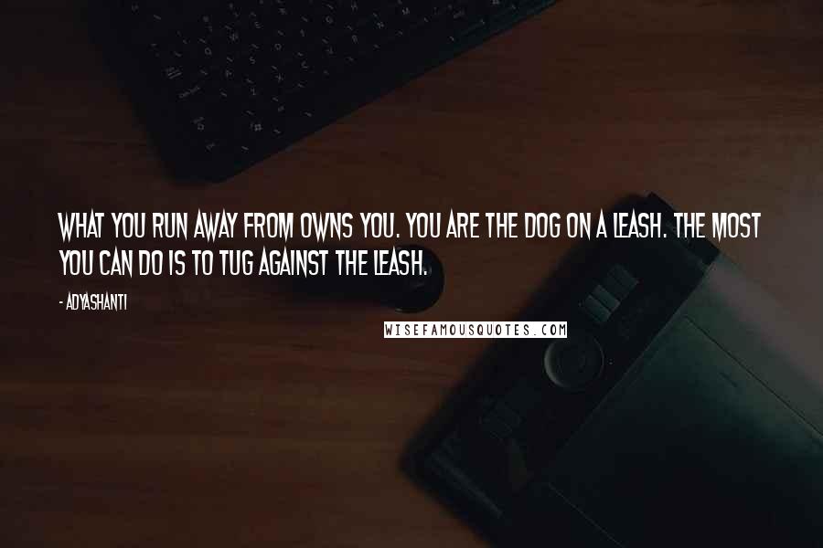 Adyashanti Quotes: What you run away from owns you. You are the dog on a leash. The most you can do is to tug against the leash.