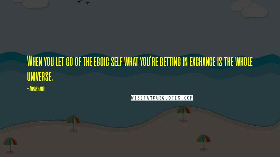 Adyashanti Quotes: When you let go of the egoic self what you're getting in exchange is the whole universe.