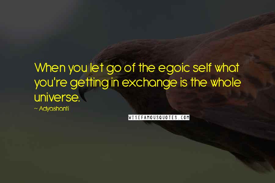 Adyashanti Quotes: When you let go of the egoic self what you're getting in exchange is the whole universe.