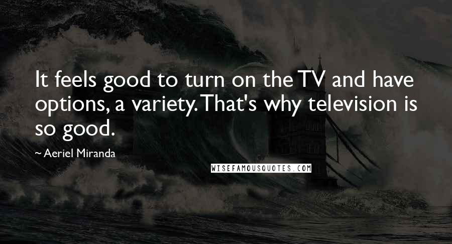 Aeriel Miranda Quotes: It feels good to turn on the TV and have options, a variety. That's why television is so good.