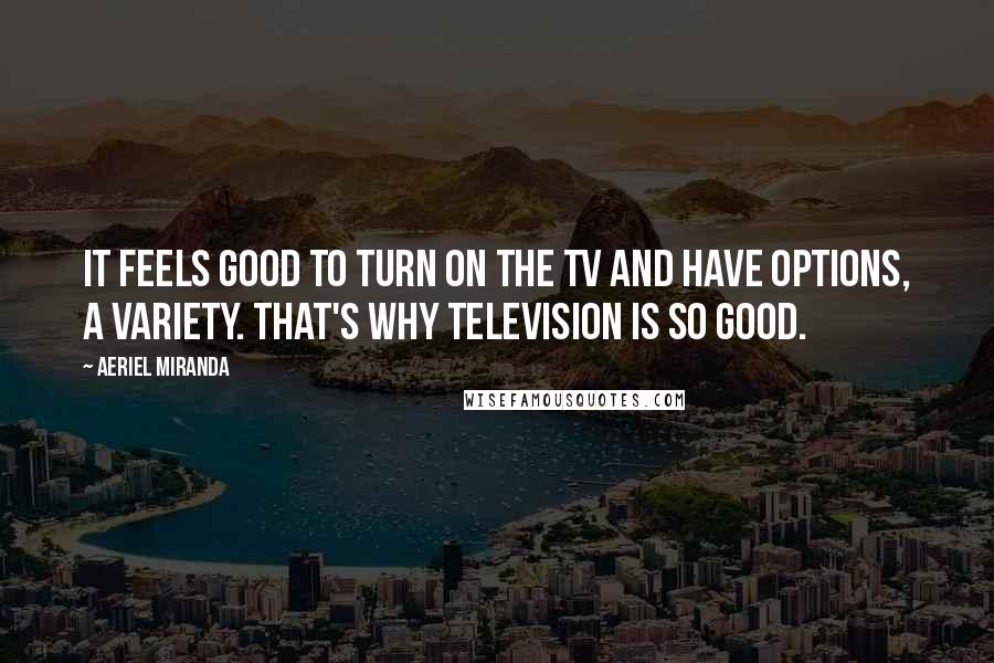 Aeriel Miranda Quotes: It feels good to turn on the TV and have options, a variety. That's why television is so good.