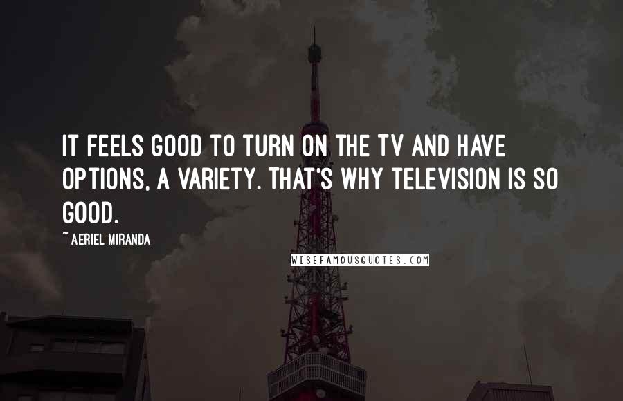 Aeriel Miranda Quotes: It feels good to turn on the TV and have options, a variety. That's why television is so good.