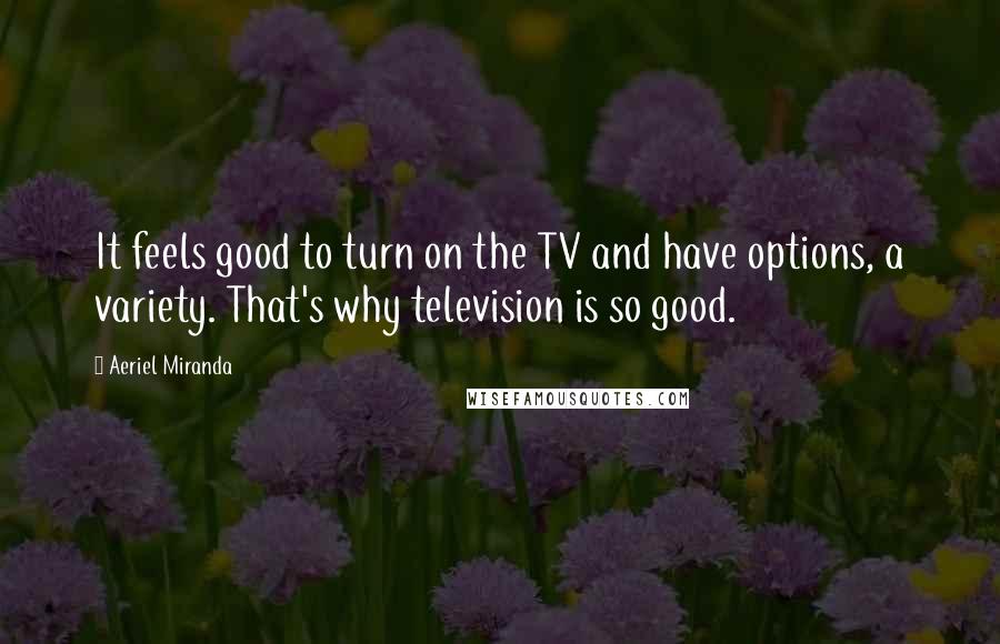 Aeriel Miranda Quotes: It feels good to turn on the TV and have options, a variety. That's why television is so good.