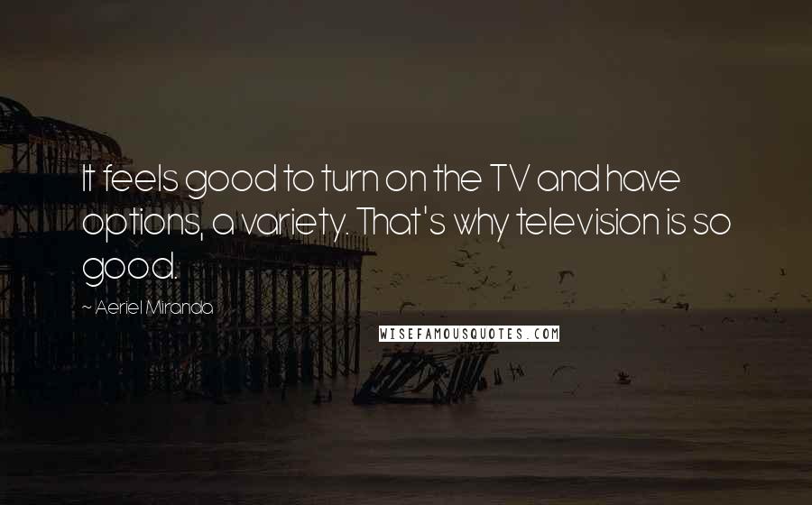 Aeriel Miranda Quotes: It feels good to turn on the TV and have options, a variety. That's why television is so good.