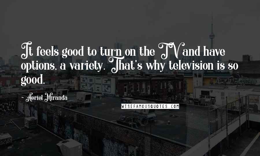 Aeriel Miranda Quotes: It feels good to turn on the TV and have options, a variety. That's why television is so good.