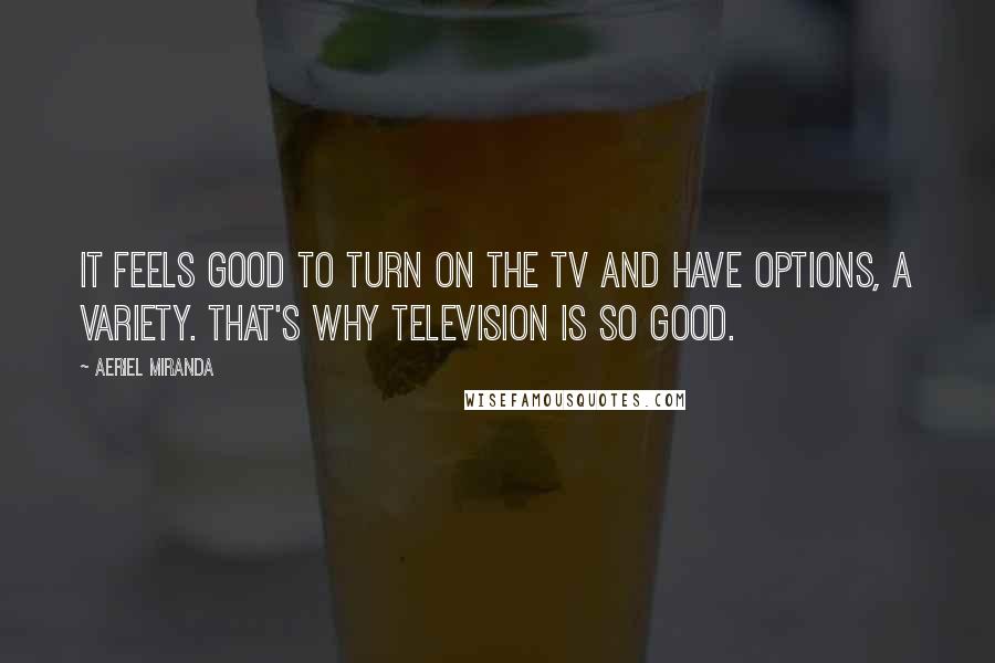 Aeriel Miranda Quotes: It feels good to turn on the TV and have options, a variety. That's why television is so good.