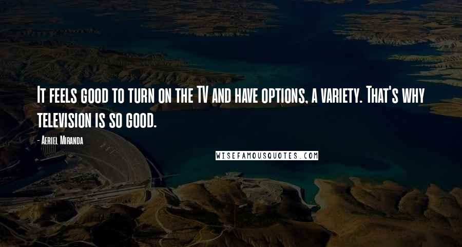 Aeriel Miranda Quotes: It feels good to turn on the TV and have options, a variety. That's why television is so good.