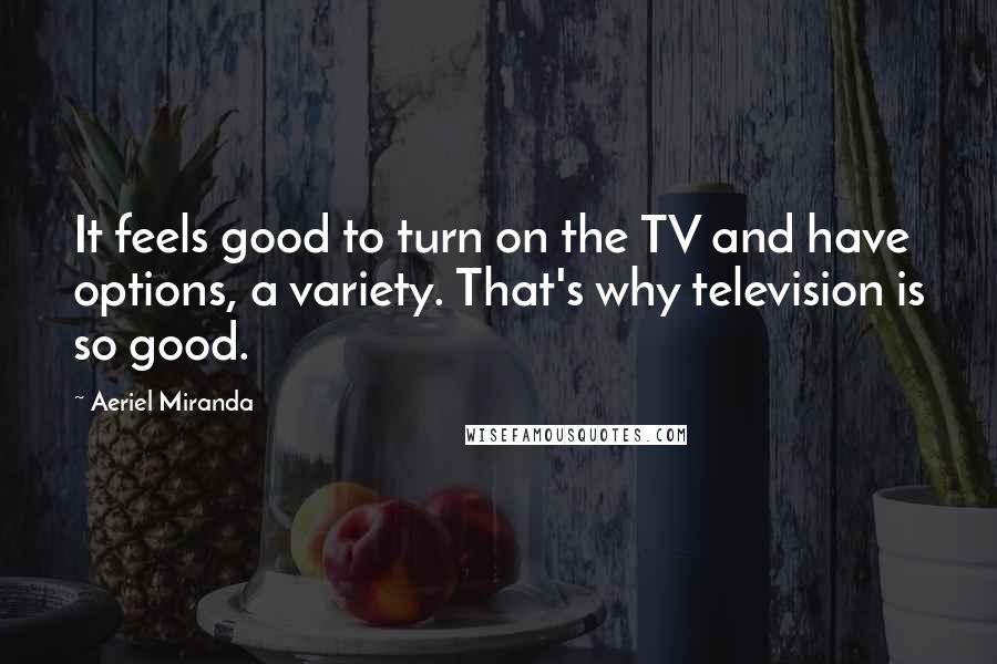 Aeriel Miranda Quotes: It feels good to turn on the TV and have options, a variety. That's why television is so good.