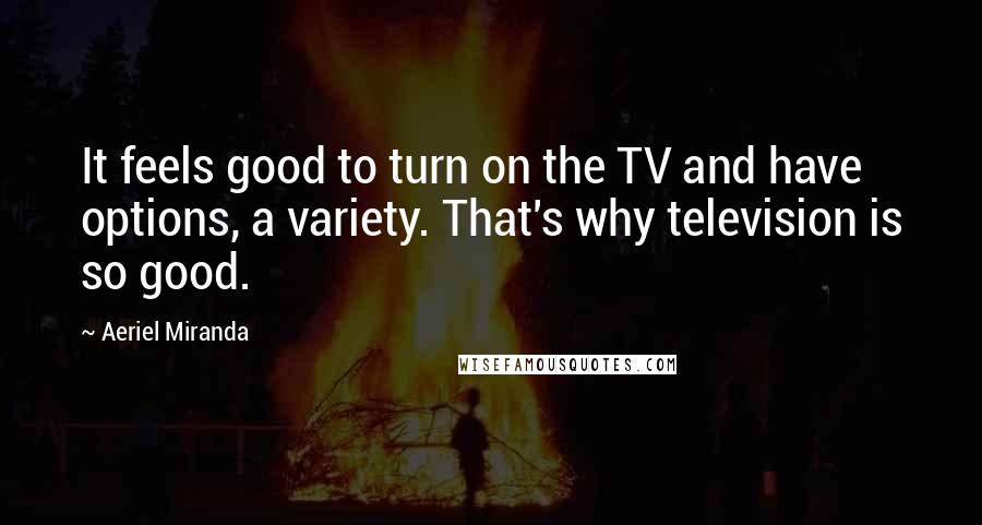 Aeriel Miranda Quotes: It feels good to turn on the TV and have options, a variety. That's why television is so good.