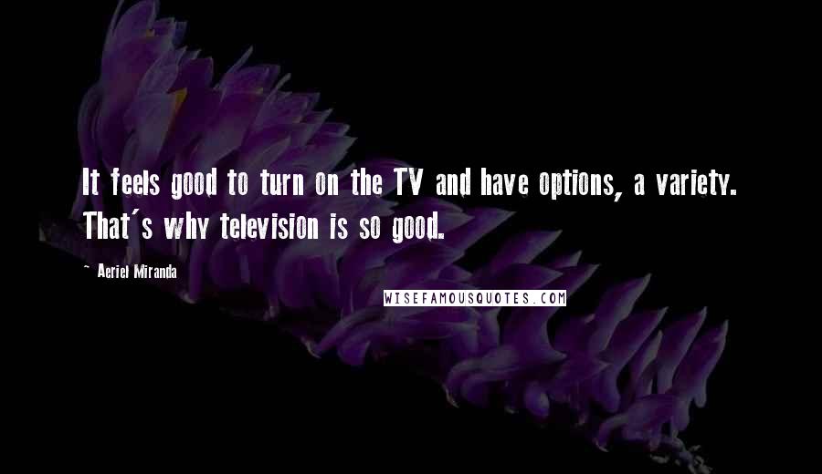 Aeriel Miranda Quotes: It feels good to turn on the TV and have options, a variety. That's why television is so good.