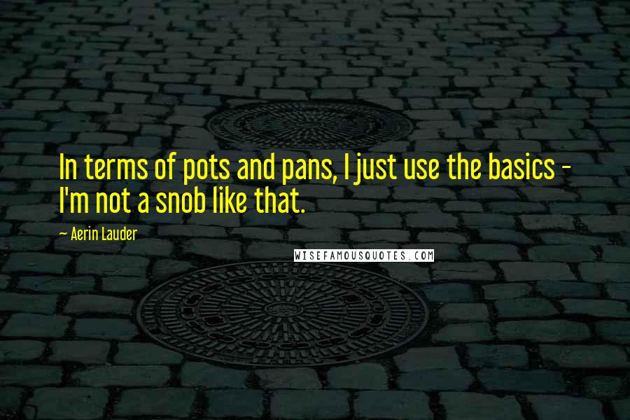 Aerin Lauder Quotes: In terms of pots and pans, I just use the basics - I'm not a snob like that.