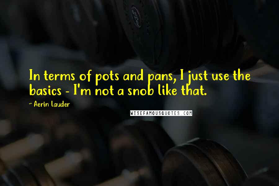 Aerin Lauder Quotes: In terms of pots and pans, I just use the basics - I'm not a snob like that.