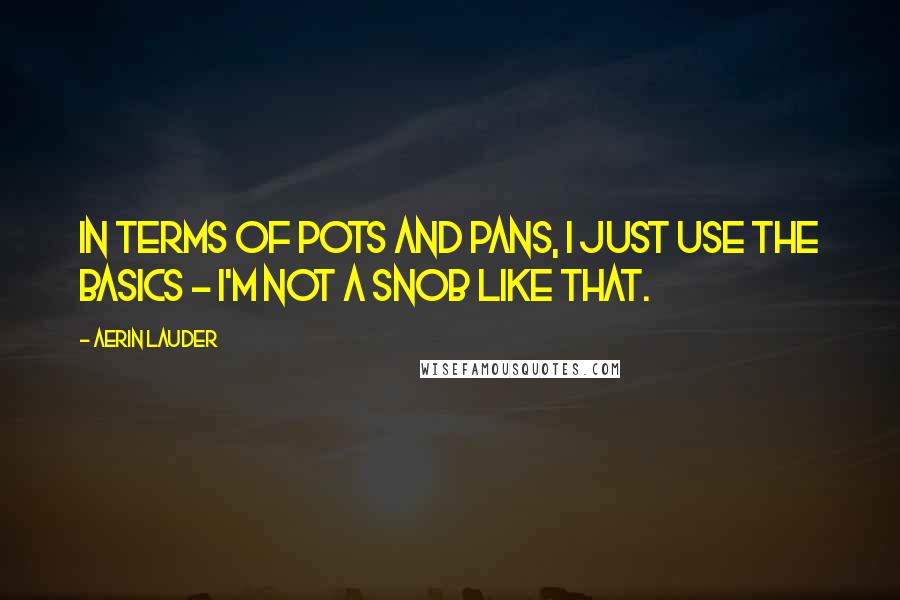 Aerin Lauder Quotes: In terms of pots and pans, I just use the basics - I'm not a snob like that.
