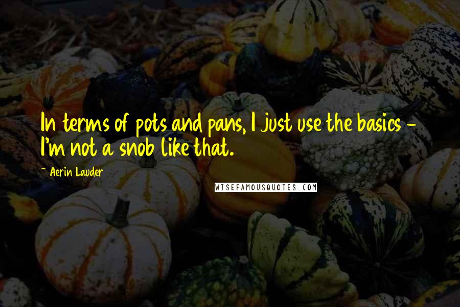 Aerin Lauder Quotes: In terms of pots and pans, I just use the basics - I'm not a snob like that.