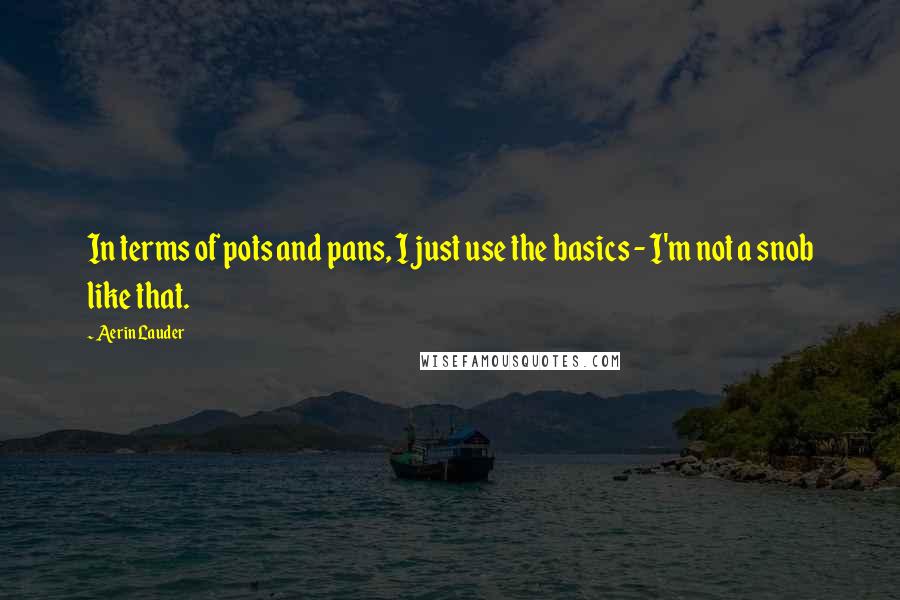 Aerin Lauder Quotes: In terms of pots and pans, I just use the basics - I'm not a snob like that.