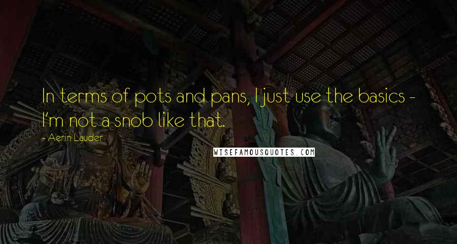 Aerin Lauder Quotes: In terms of pots and pans, I just use the basics - I'm not a snob like that.