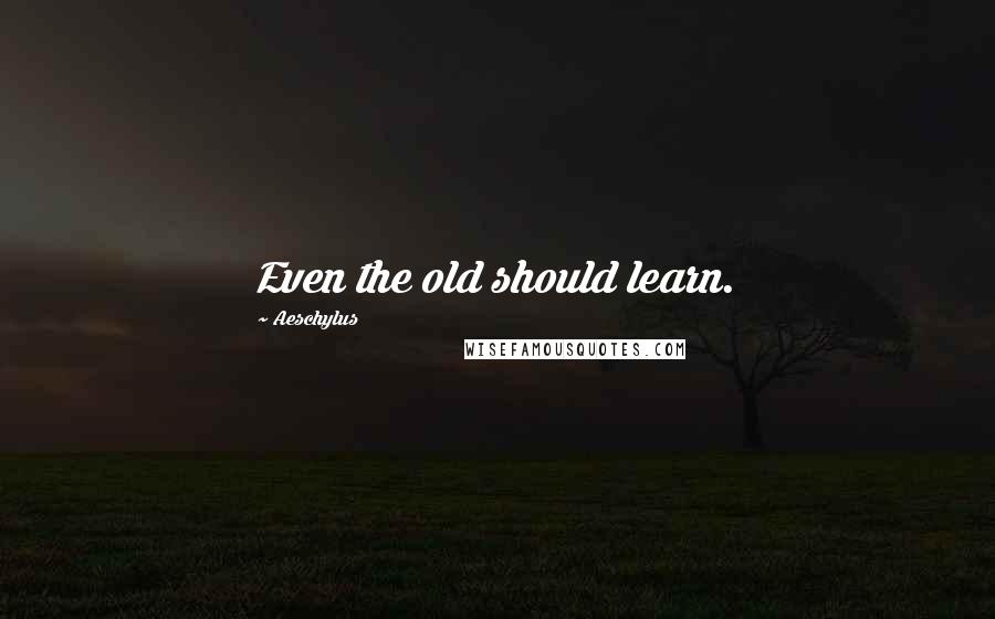 Aeschylus Quotes: Even the old should learn.