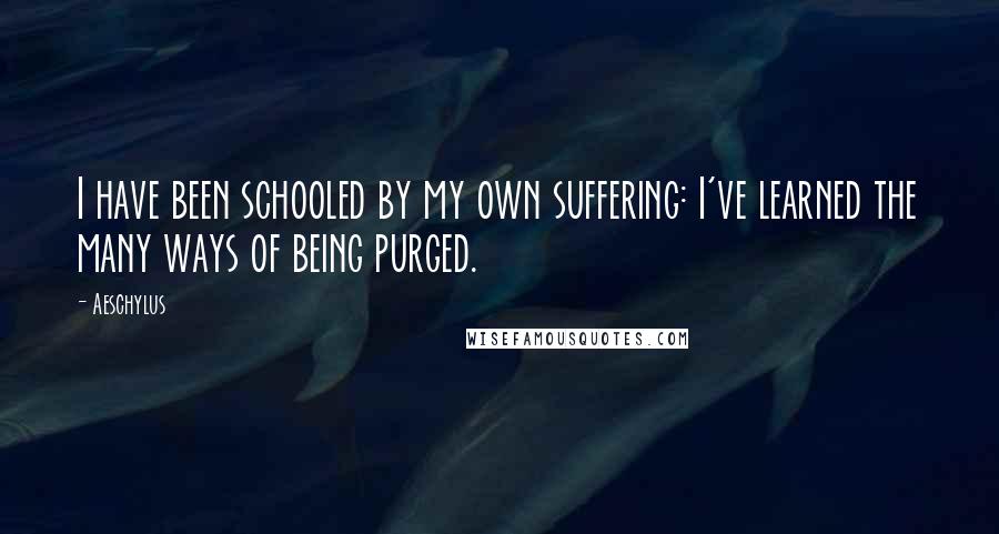 Aeschylus Quotes: I have been schooled by my own suffering: I've learned the many ways of being purged.