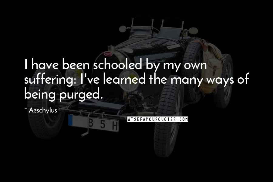 Aeschylus Quotes: I have been schooled by my own suffering: I've learned the many ways of being purged.