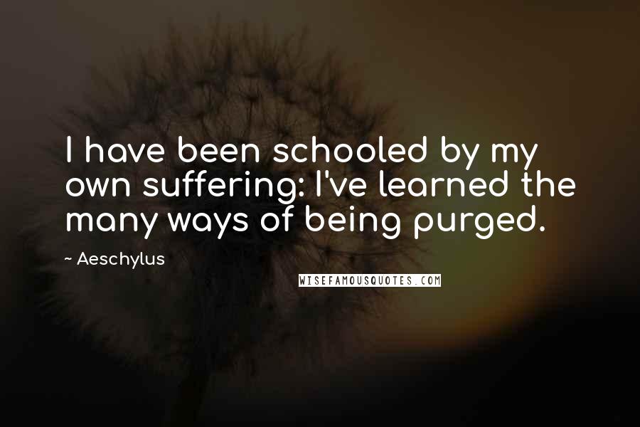 Aeschylus Quotes: I have been schooled by my own suffering: I've learned the many ways of being purged.