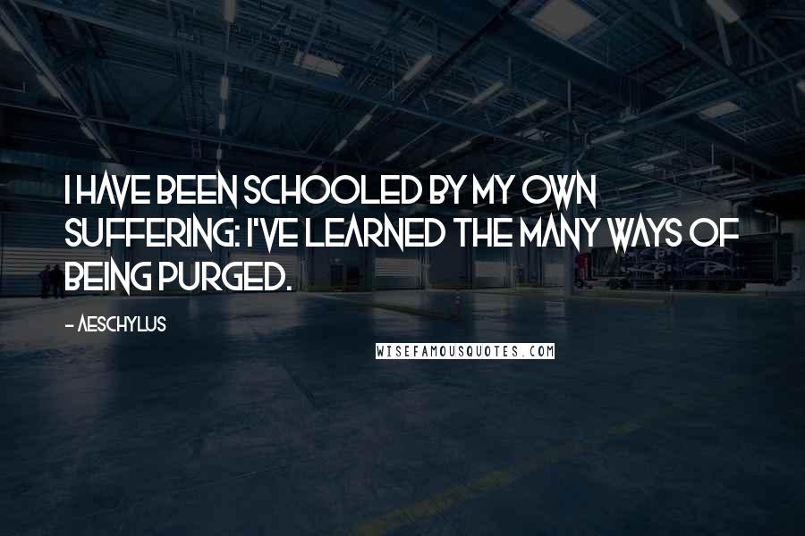 Aeschylus Quotes: I have been schooled by my own suffering: I've learned the many ways of being purged.