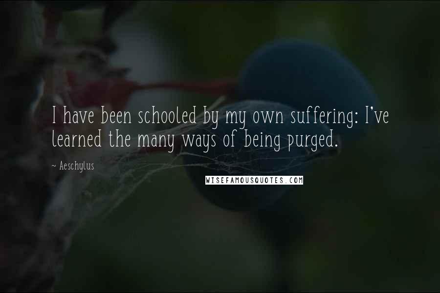 Aeschylus Quotes: I have been schooled by my own suffering: I've learned the many ways of being purged.