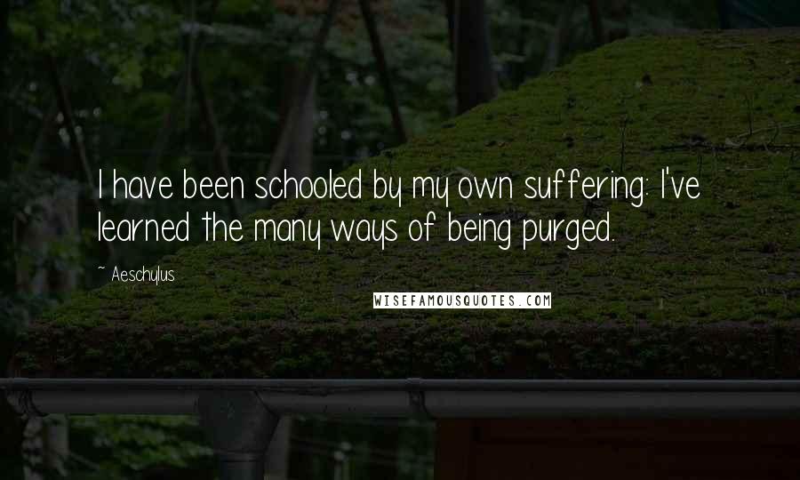 Aeschylus Quotes: I have been schooled by my own suffering: I've learned the many ways of being purged.