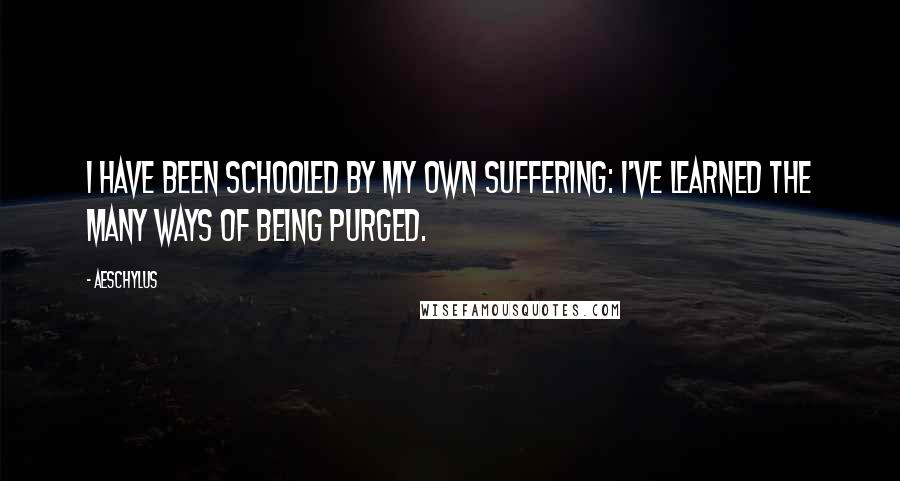 Aeschylus Quotes: I have been schooled by my own suffering: I've learned the many ways of being purged.