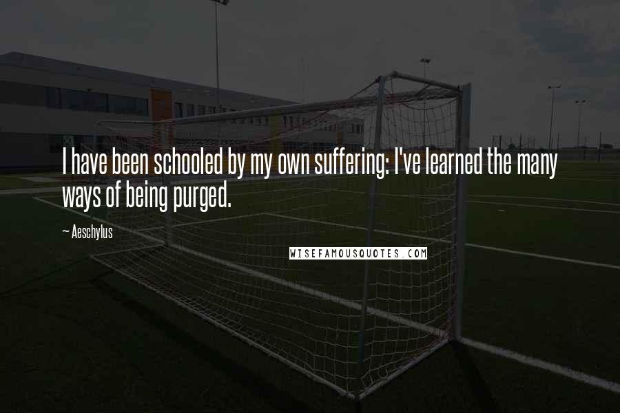 Aeschylus Quotes: I have been schooled by my own suffering: I've learned the many ways of being purged.