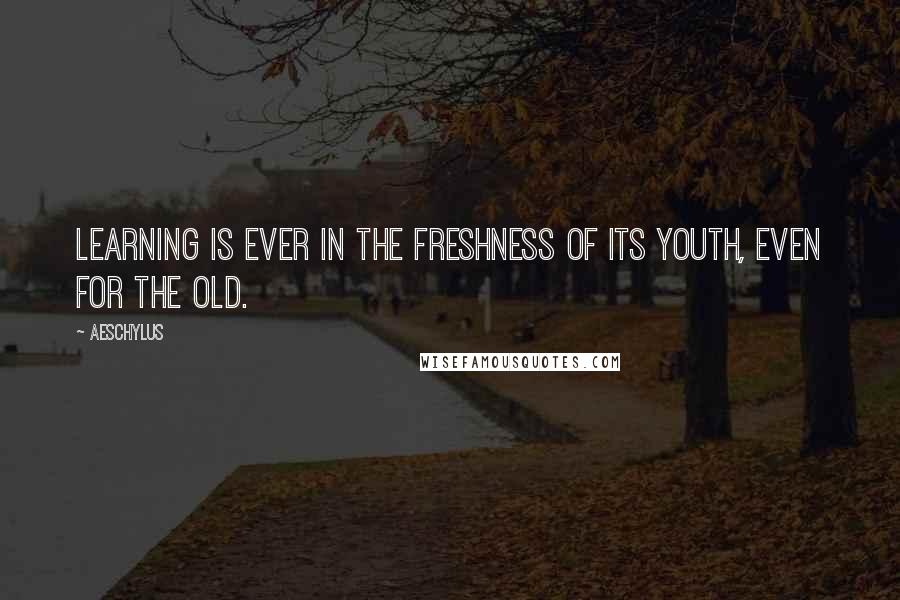 Aeschylus Quotes: Learning is ever in the freshness of its youth, even for the old.