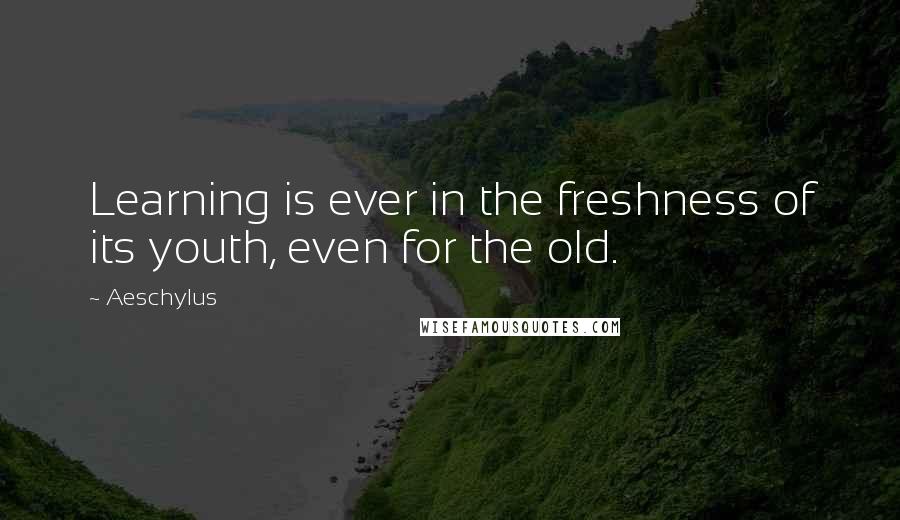 Aeschylus Quotes: Learning is ever in the freshness of its youth, even for the old.