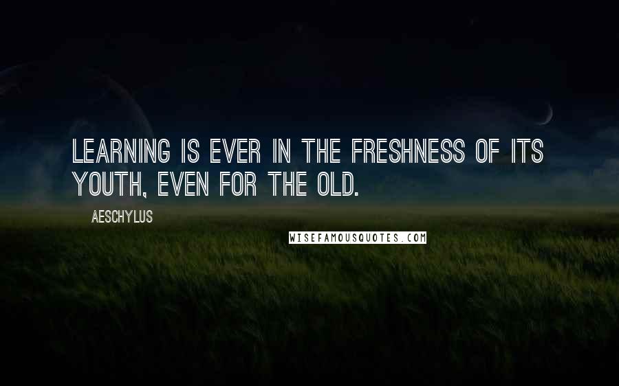 Aeschylus Quotes: Learning is ever in the freshness of its youth, even for the old.