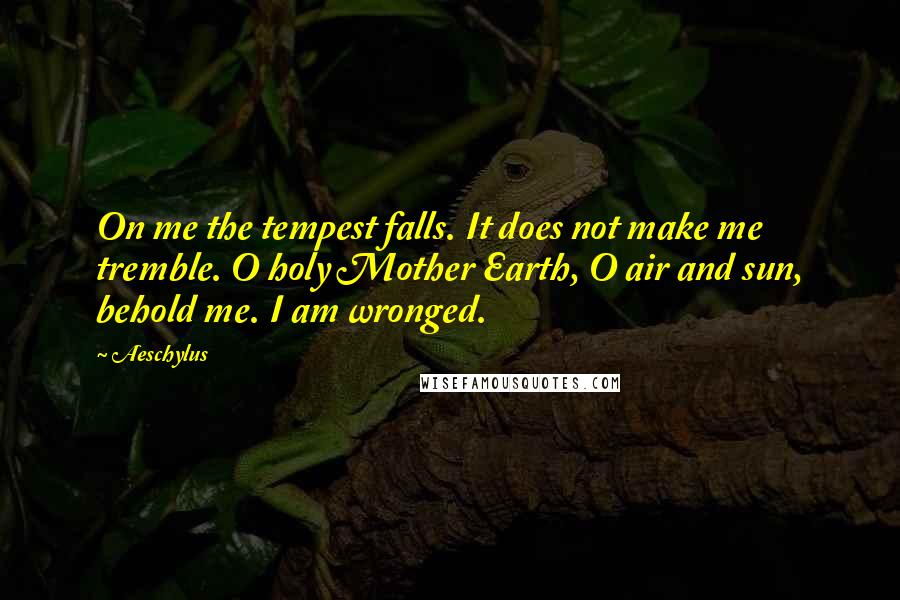 Aeschylus Quotes: On me the tempest falls. It does not make me tremble. O holy Mother Earth, O air and sun, behold me. I am wronged.