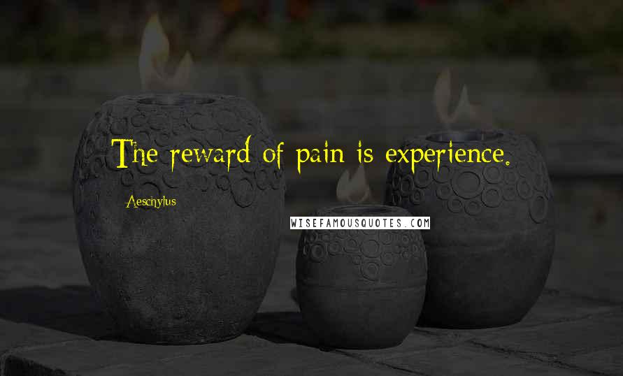 Aeschylus Quotes: The reward of pain is experience.