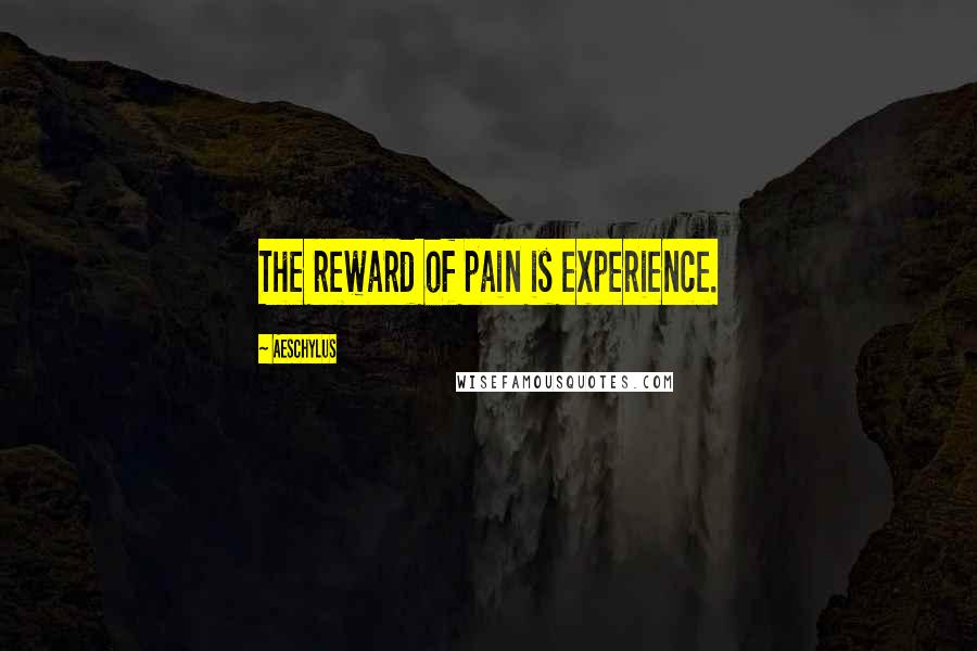 Aeschylus Quotes: The reward of pain is experience.