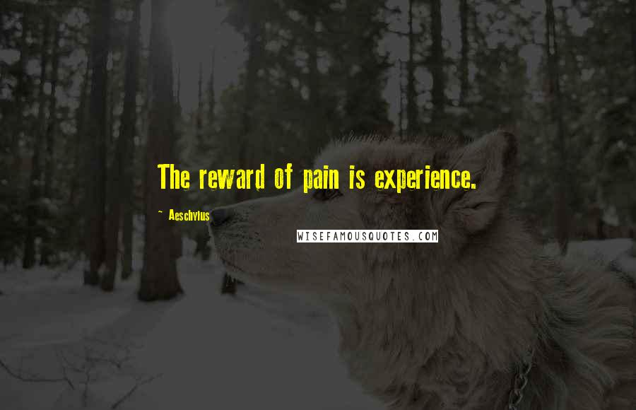 Aeschylus Quotes: The reward of pain is experience.