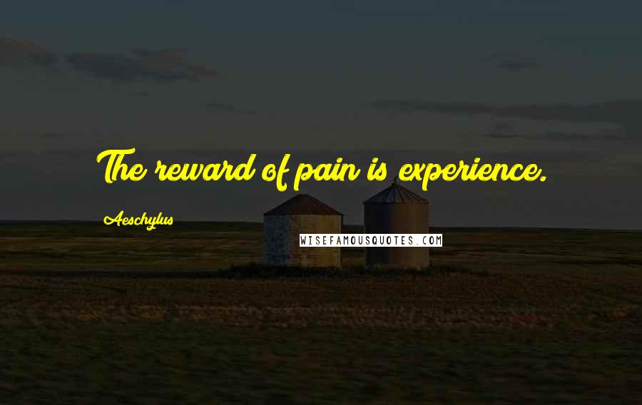 Aeschylus Quotes: The reward of pain is experience.