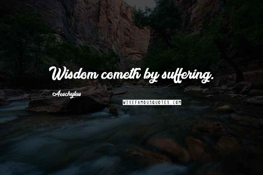 Aeschylus Quotes: Wisdom cometh by suffering.